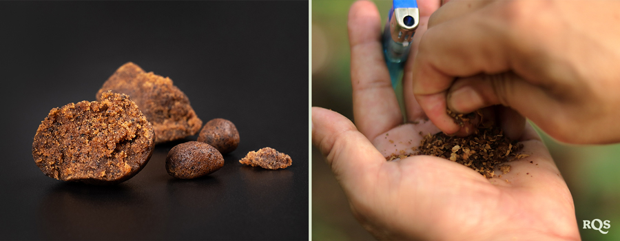 Il·lustració de cultiu biointensiu, que mostra la màxima productivitat, plantes més sanes, cabdells potents, cultiu associat, cultiu profund del sòl i millora de la qualitat del sòl.