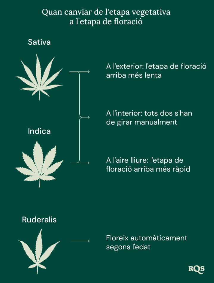 Switch ve to flowering