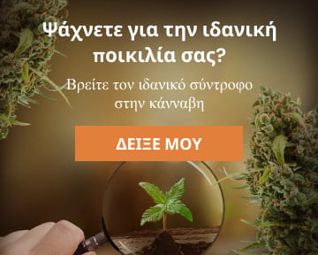 Cannabis Seedfinder