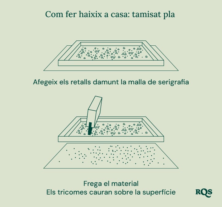 Il·lustració de cultiu biointensiu, que mostra la màxima productivitat, plantes més sanes, cabdells potents, cultiu associat, cultiu profund del sòl i millora de la qualitat del sòl.