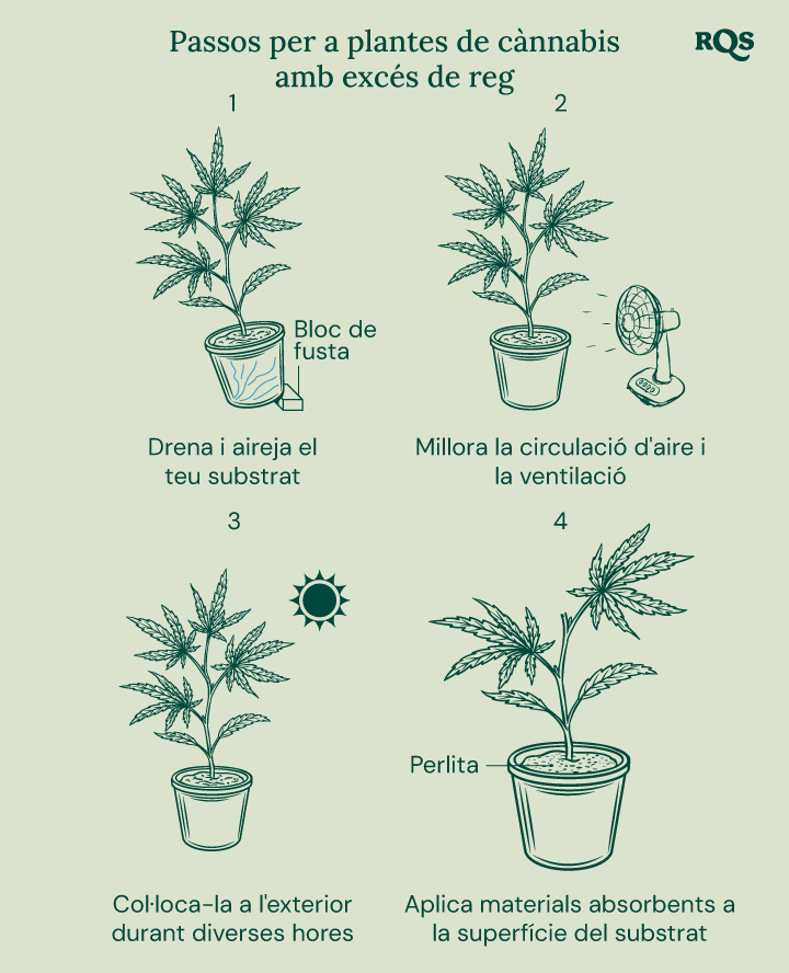 How to fix overwatered cannabis