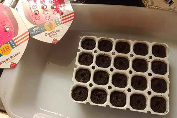 Easy Start Easy Start